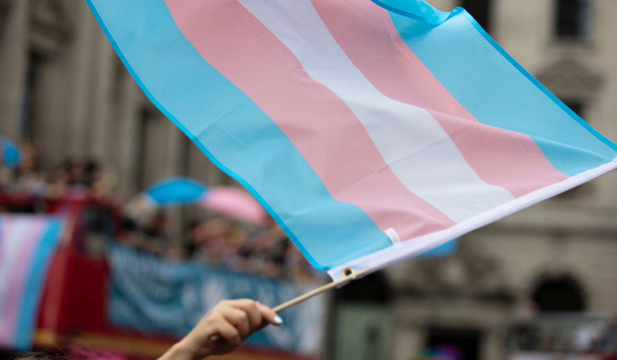 V2Transgender Flag At Rally