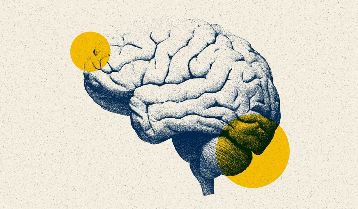 V2brain