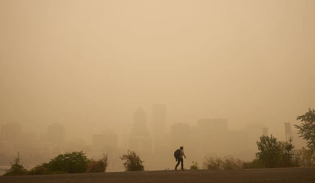Wildfire Smoke