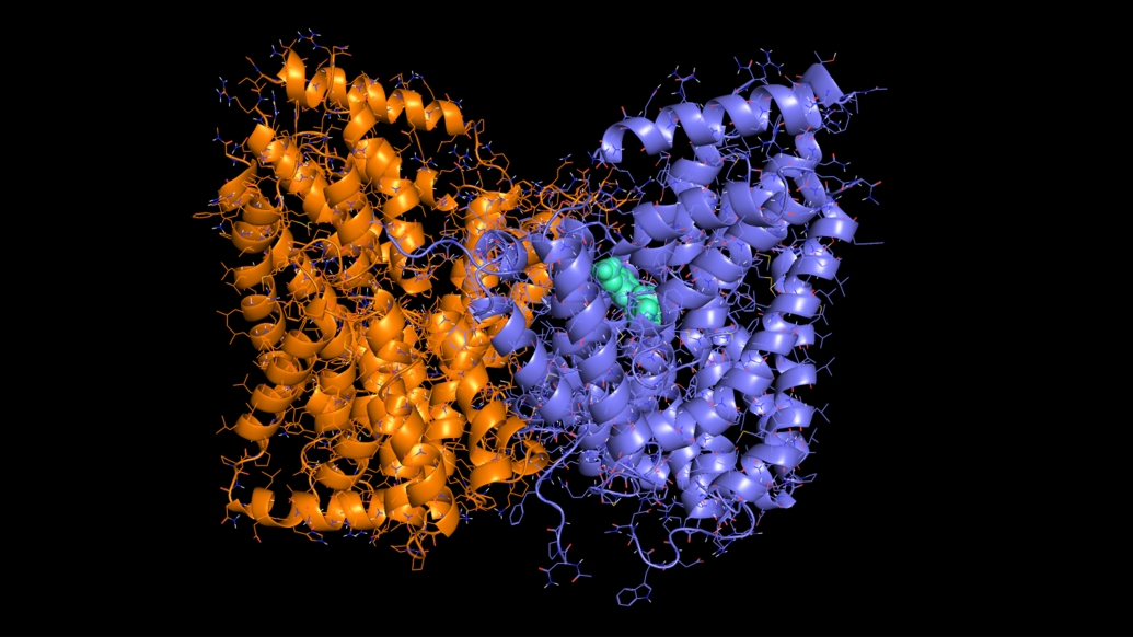 Yellow Purple Cancer Cell